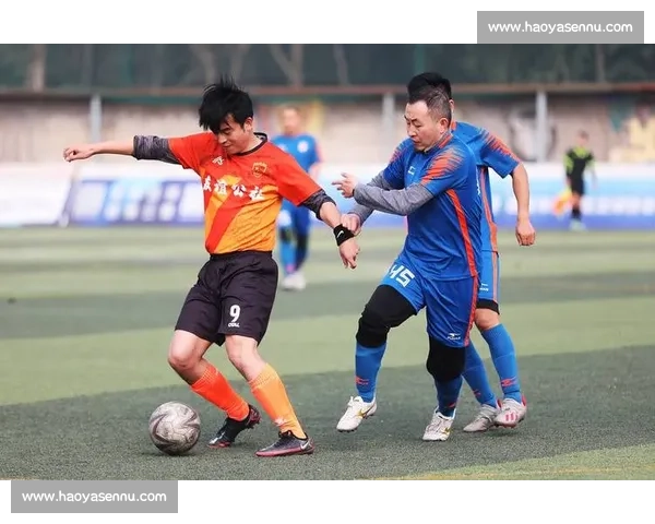 球迷盼「陕超」升级 陕西体育局：三级联赛体系已完善